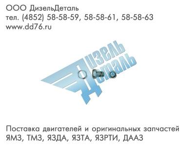 310219-П29 Болт-пробка М10х1х14