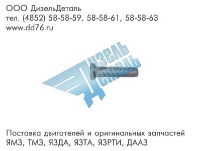 313020-П2 Заклепка 8х33