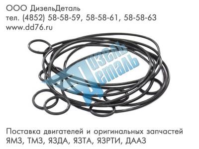 336.1704019 КОЛЬЦО УПЛОТНИТЕЛЬНОЕ