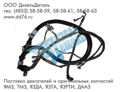 650.3724010 Жгут форсунок в сборе